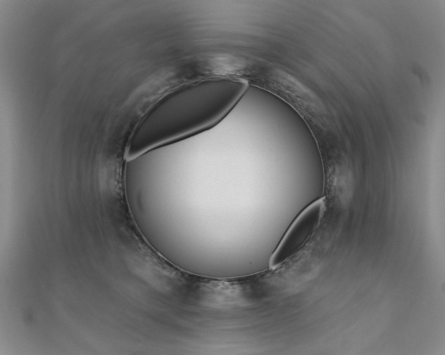 X0000110880421200906181229