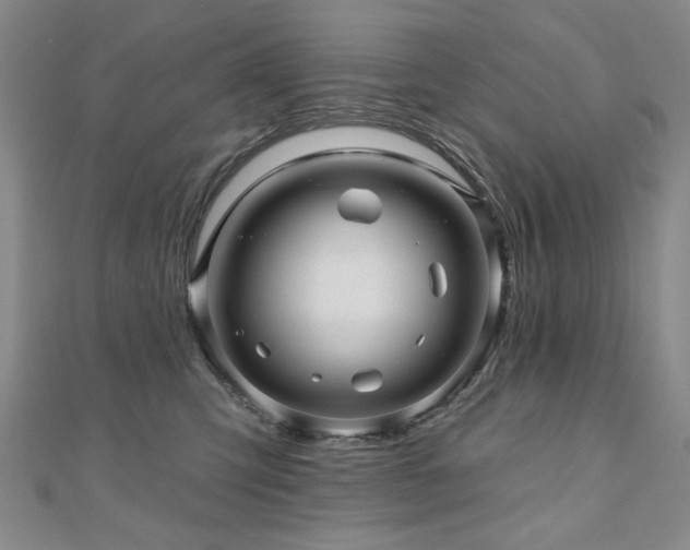X0000110880423200906181229