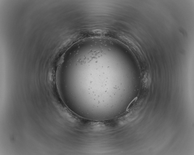 X0000110880424200906181229