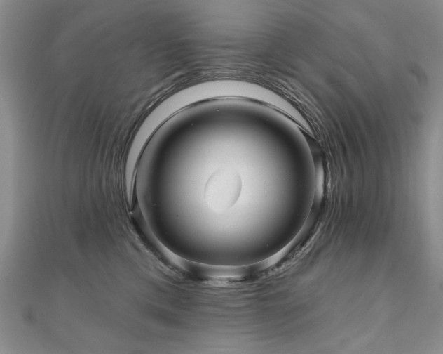 X0000110880425200906181229