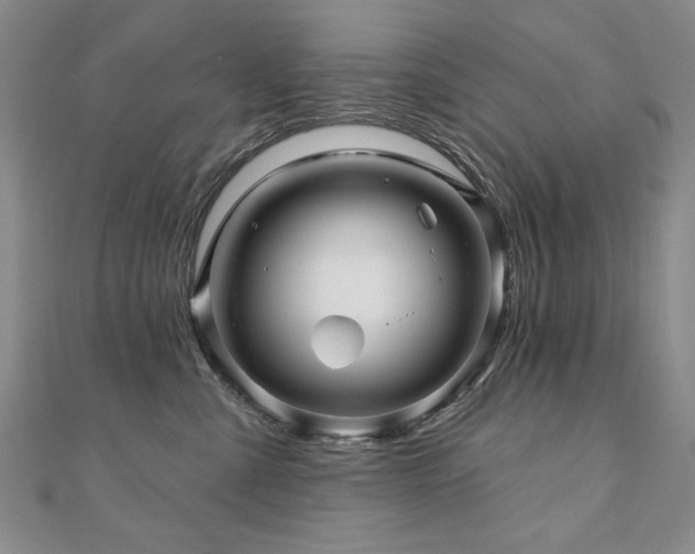 X0000110880427200906181229