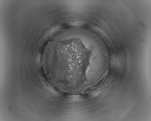 X0000110880428200906181229