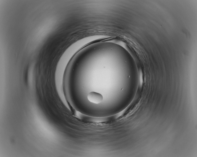 X0000110880429200906181229