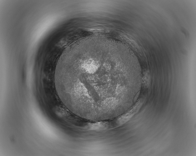 X0000110880430200906181229