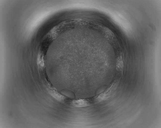 X0000110880431200906181229