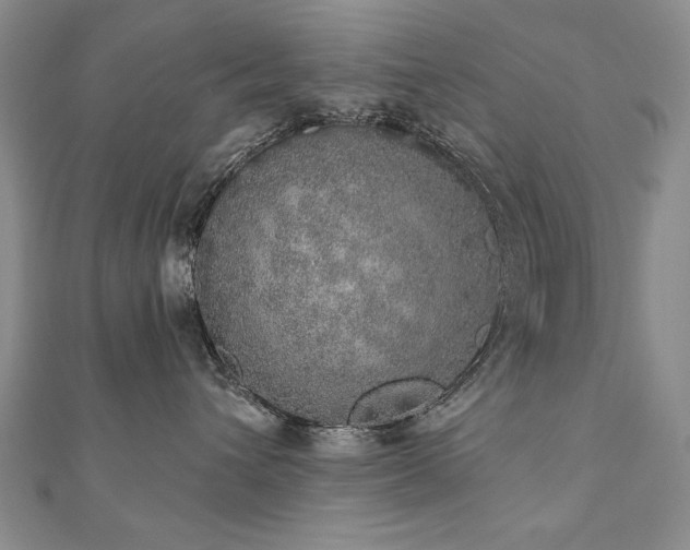 X0000110880432200906181229