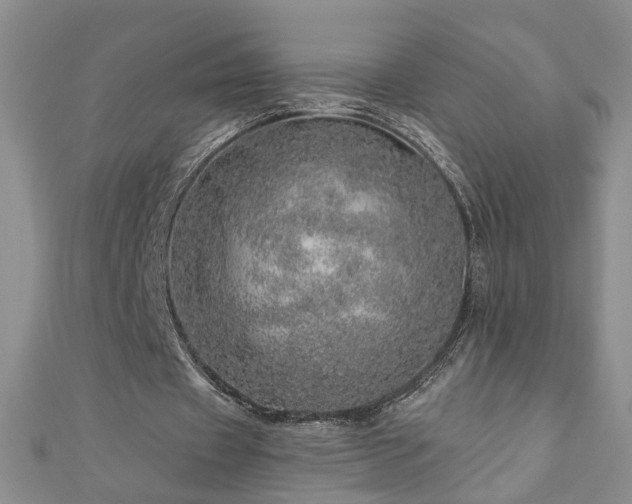 X0000110880433200906181228