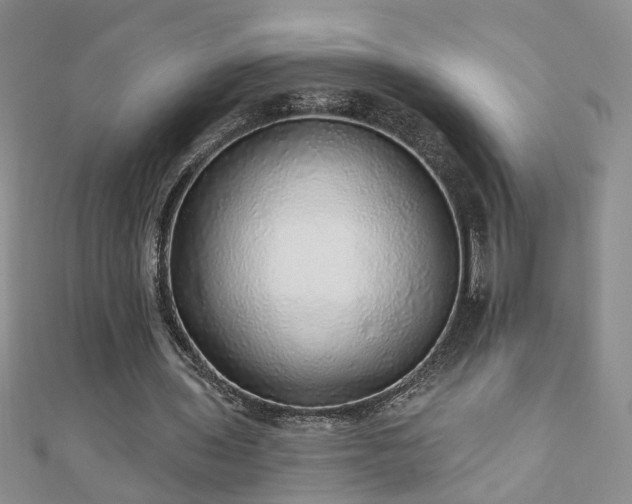 X0000110880435200906181228