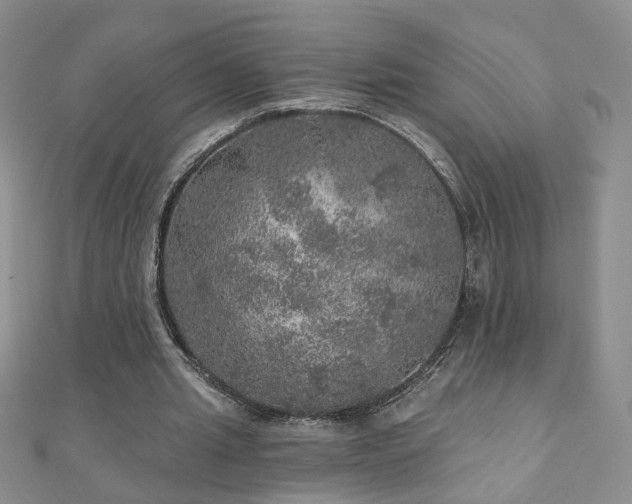 X0000110880437200906181228