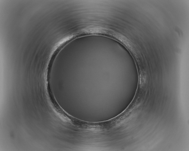 X0000110880438200906181229