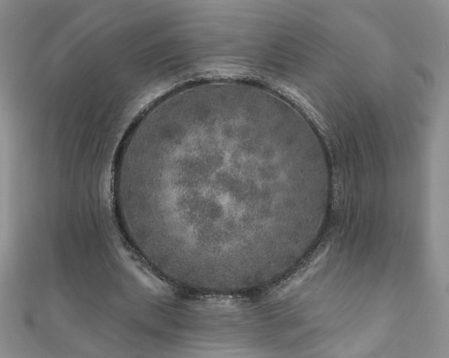 X0000110880439200906181229