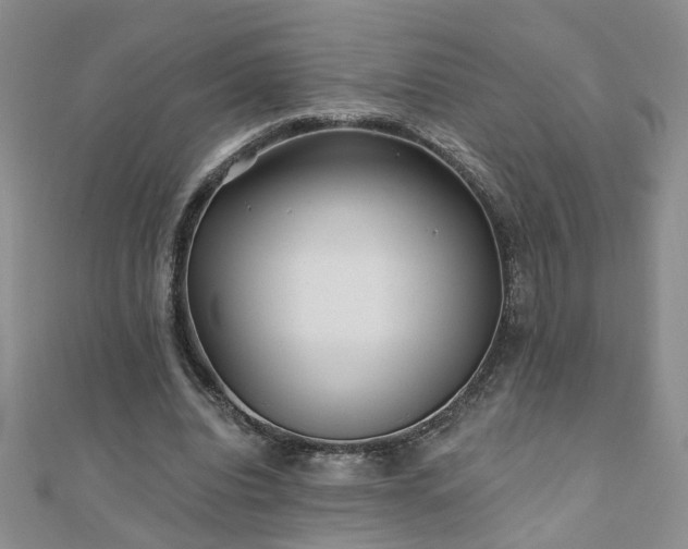 X0000110880440200906181229