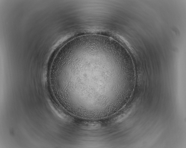 X0000110880443200906181229
