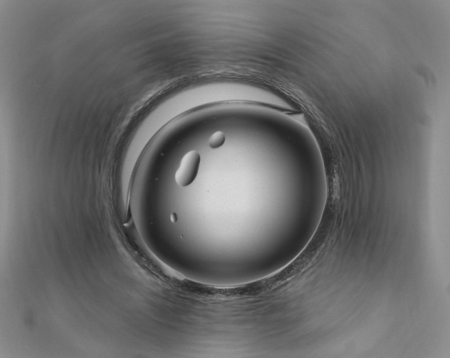 X0000110880444200906181229