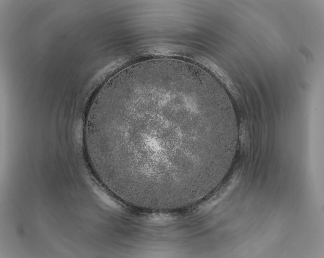 X0000110880445200906181229