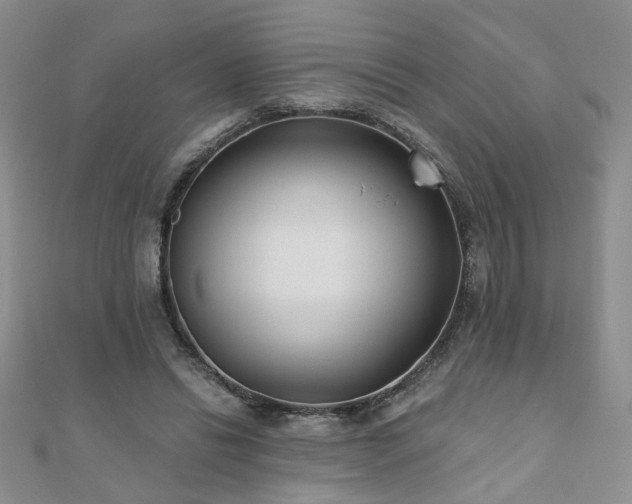 X0000110880446200906181229