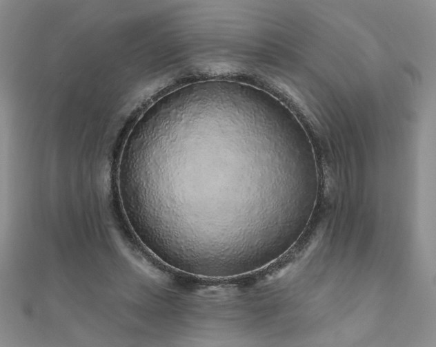 X0000110880447200906181229