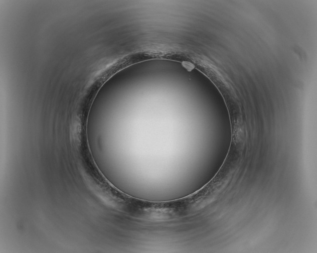 X0000110880448200906181229