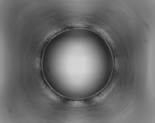 X0000110880449200906181229