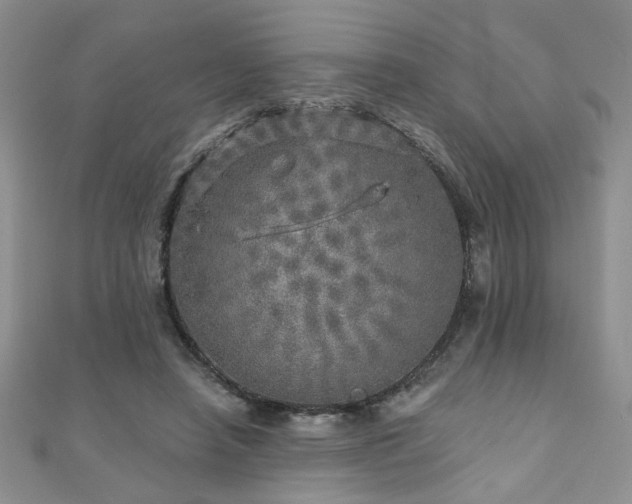 X0000110880450200906181229