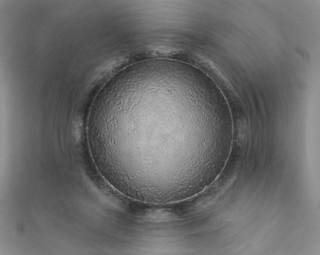 X0000110880451200906181229