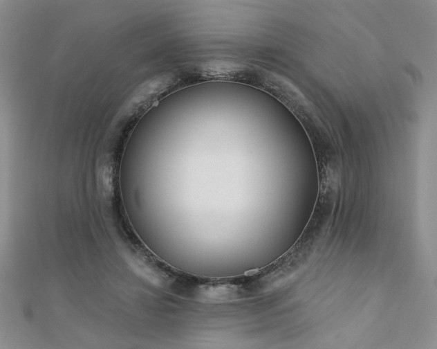 X0000110880452200906181229