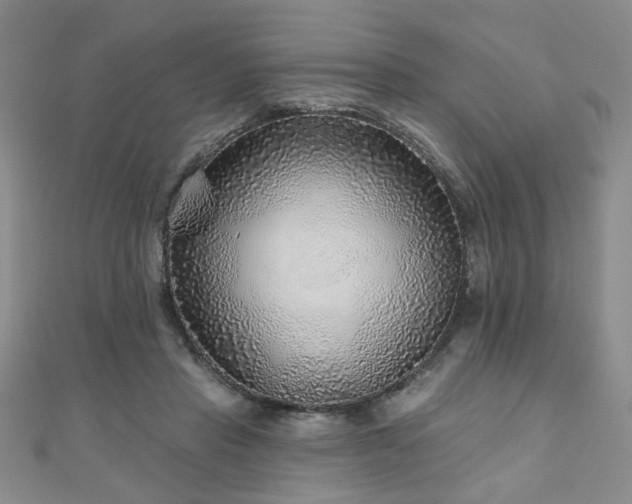 X0000110880453200906181229