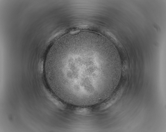 X0000110880454200906181229