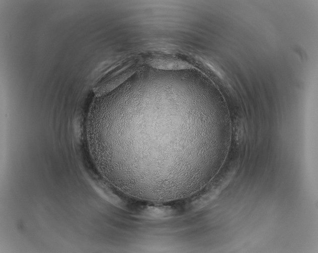 X0000110880455200906181229