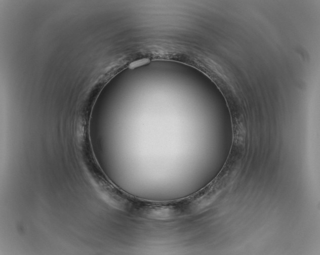 X0000110880456200906181229
