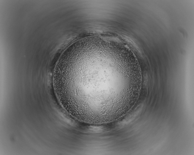 X0000110880457200906181229