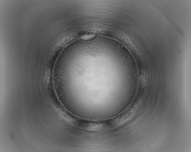 X0000110880458200906181229