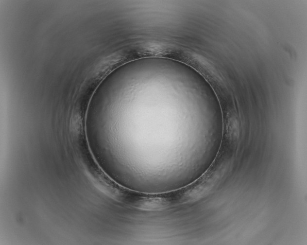 X0000110880459200906181229