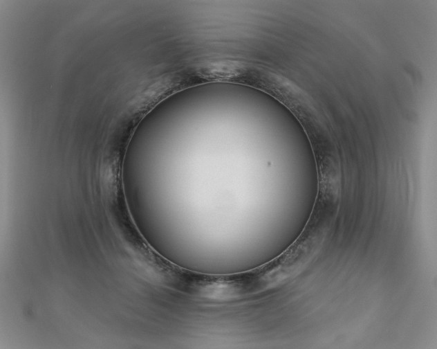 X0000110880460200906181229