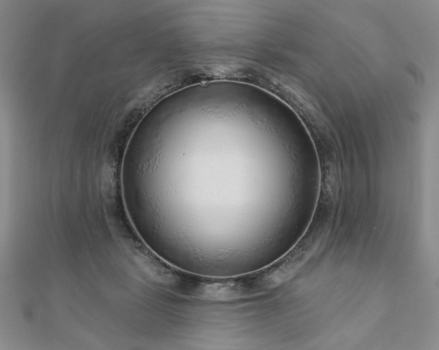 X0000110880461200906181229