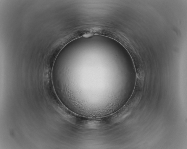 X0000110880462200906181229