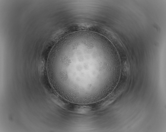 X0000110880463200906181229