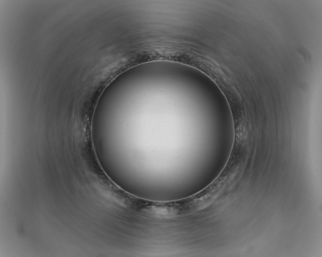 X0000110880464200906181229