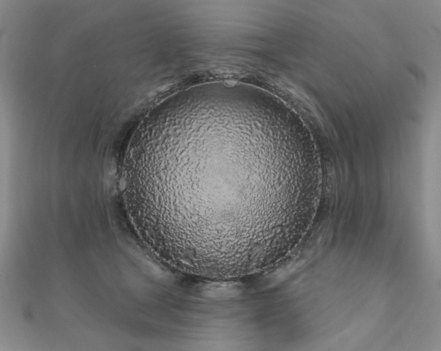 X0000110880465200906181229