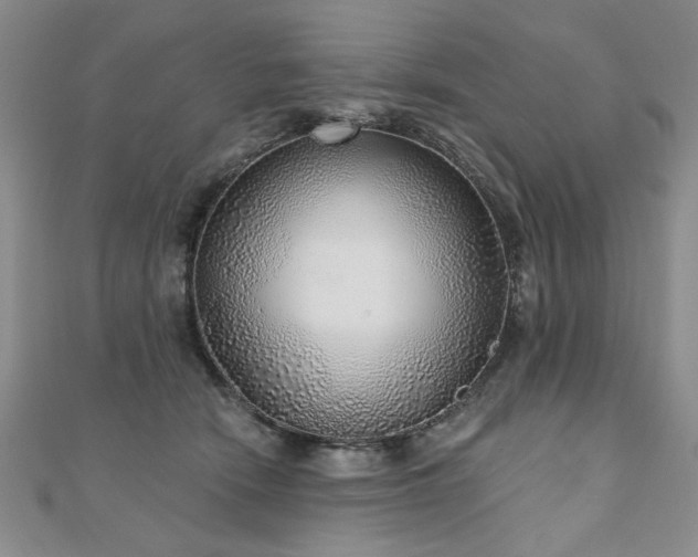 X0000110880466200906181229