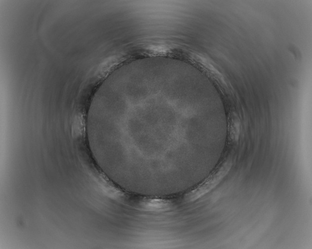 X0000110880467200906181229