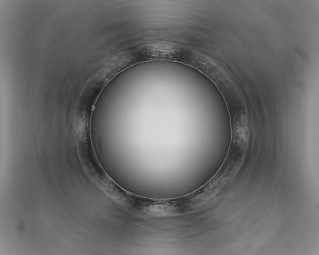 X0000110880468200906181229