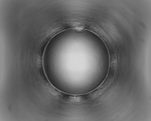 X0000110880469200906181229