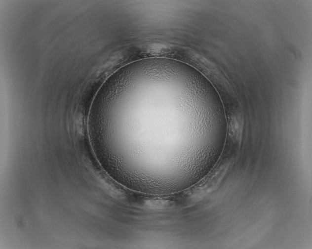 X0000110880470200906181229