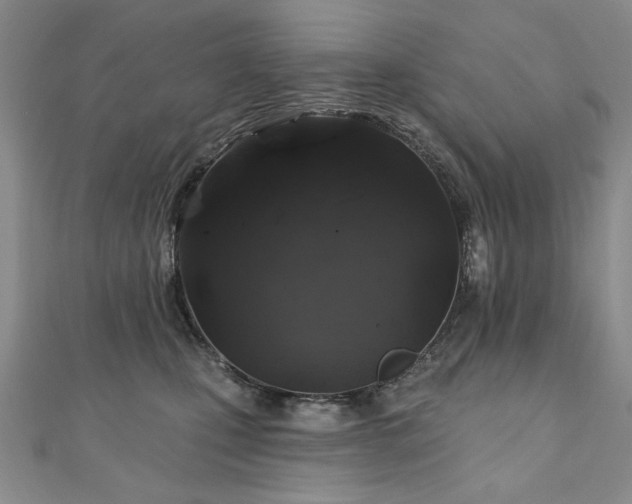 X0000110880471200906181229