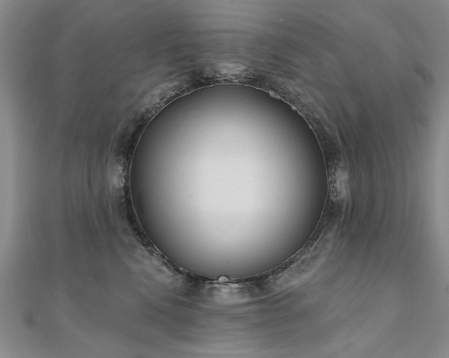 X0000110880472200906181229