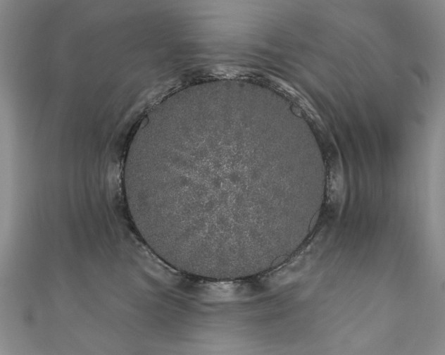 X0000110880473200906181229