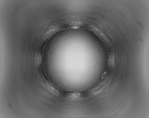 X0000110880474200906181229