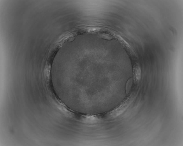 X0000110880475200906181229