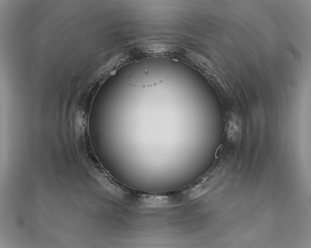 X0000110880476200906181229